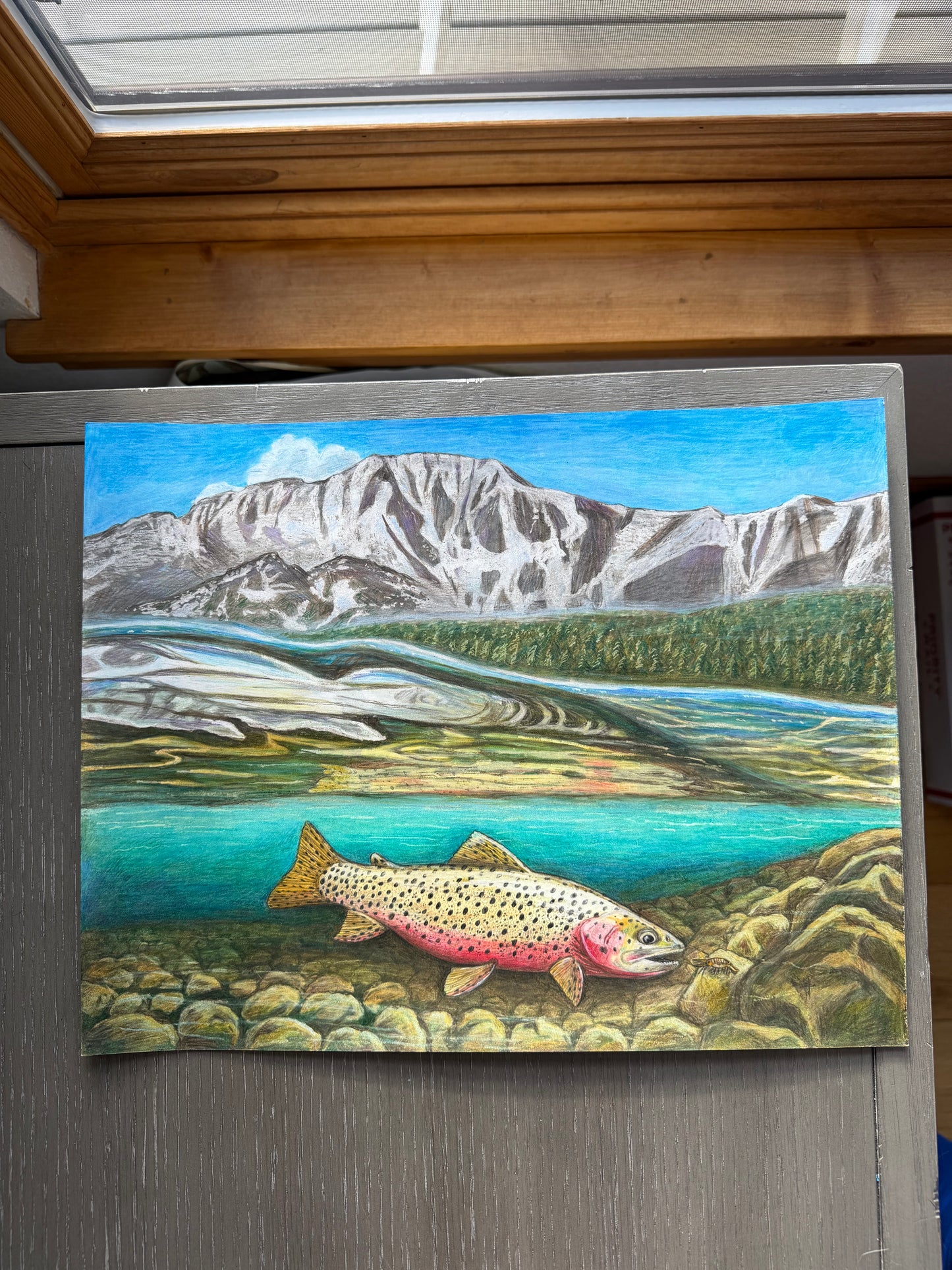 Swimming with an Alpine Cutthroat