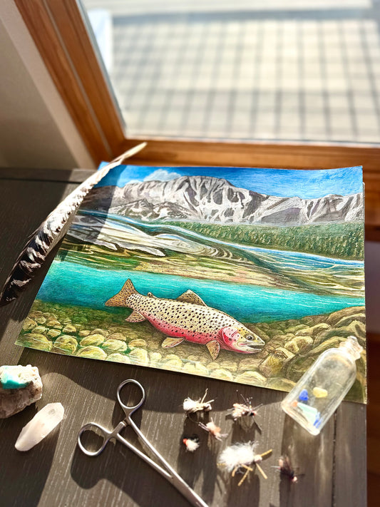 Swimming with an Alpine Cutthroat