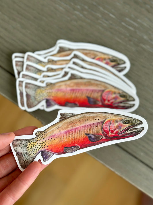 Cutthroat Trout Sticker