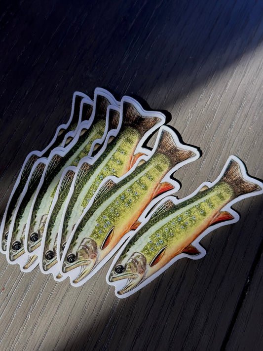 Brook Trout Sticker