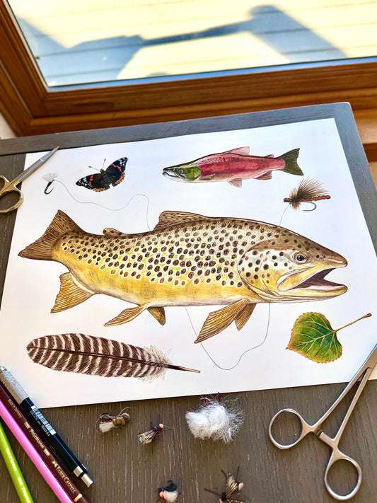 Fall Brown Trout